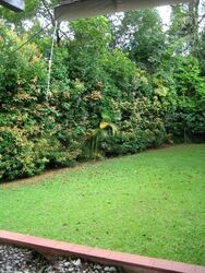 Morley Road (D10), Detached #458526851